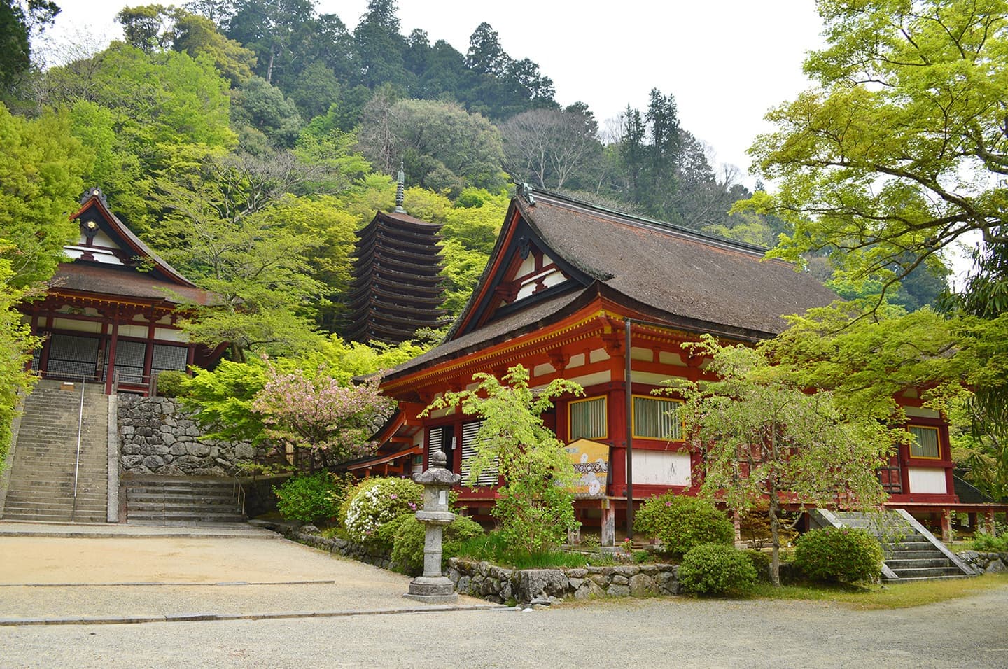 ◉◉県◉◉市に鎮座する「◉◉」|出張撮影・カメラマン