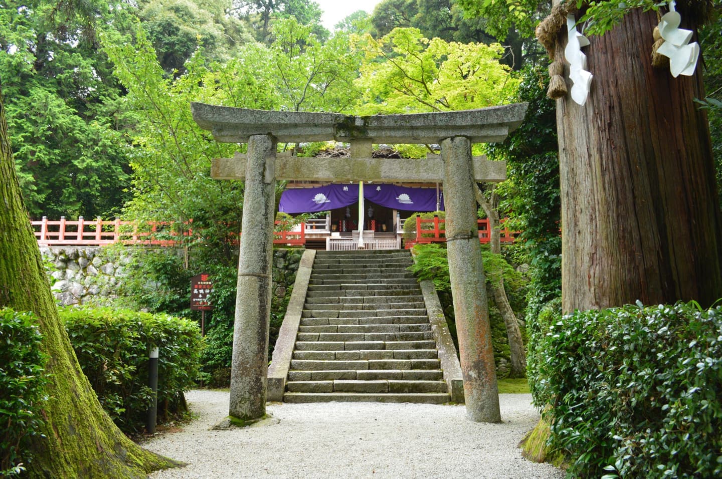 奈良県御所市に鎮座する「高鴨神社」|出張撮影・カメラマン