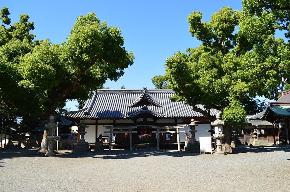 泉大津市に鎮座する「泉穴師神社」|出張撮影・カメラマン