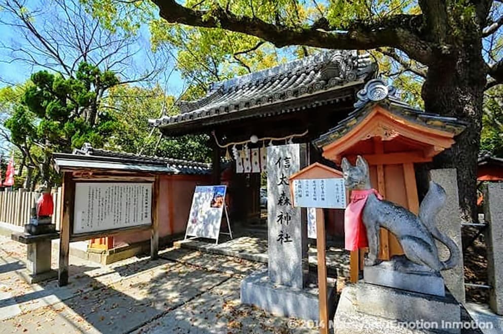 和泉市に鎮座する「信太森葛葉稲荷」｜出張撮影・カメラマン